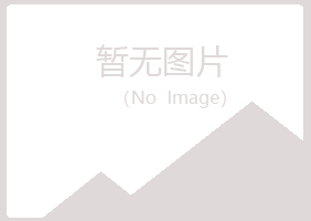 梅州夏岚采矿有限公司